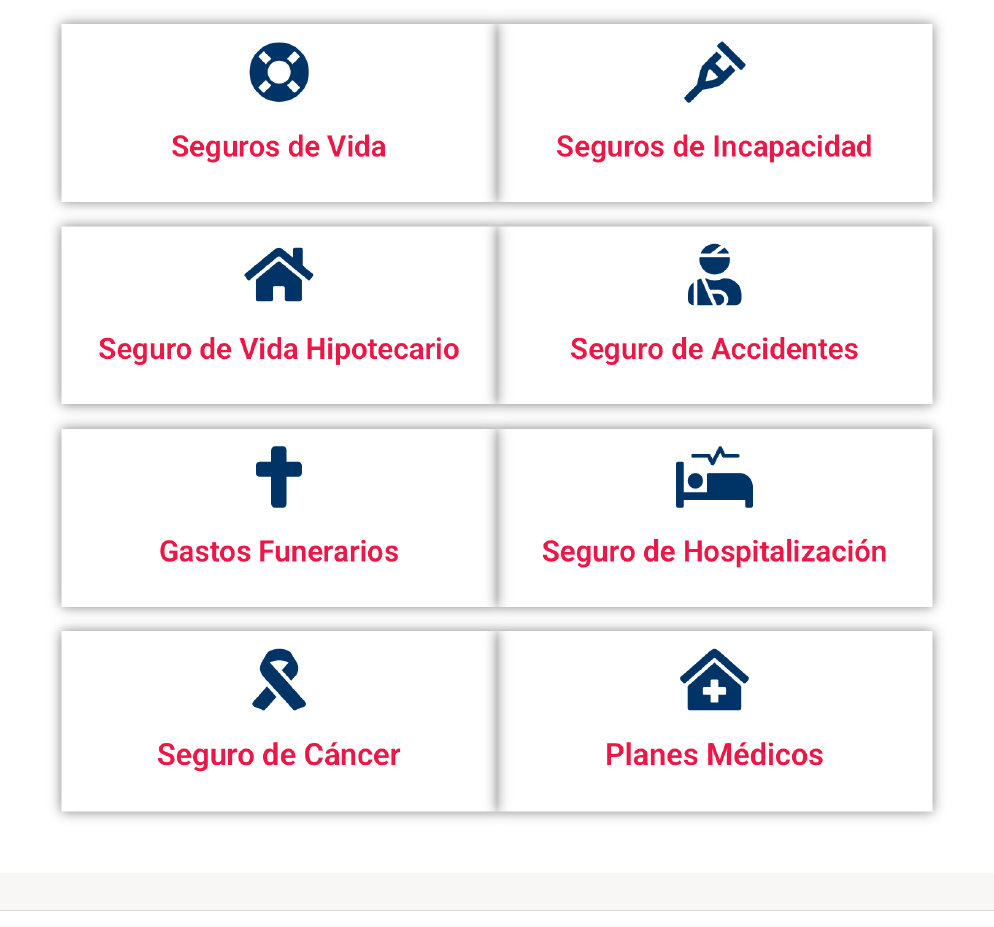 avanza_insurance_pr_-_2025_-_d008001.jpg